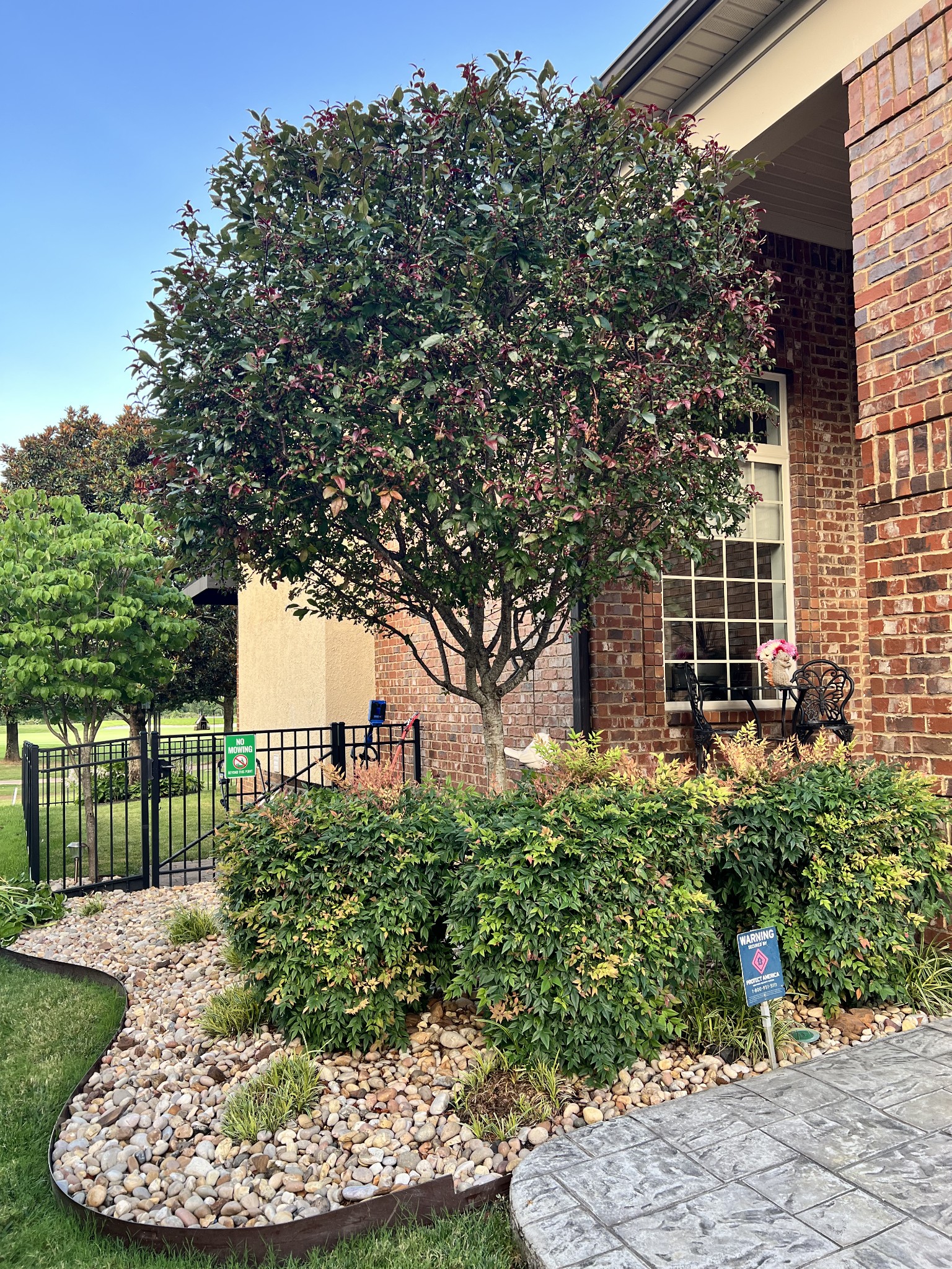 Listing image 31