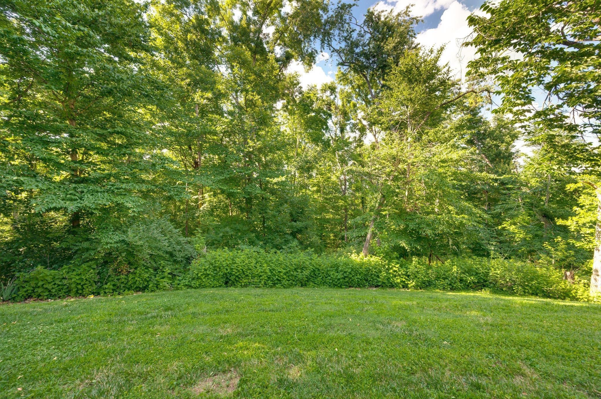 Listing image 53
