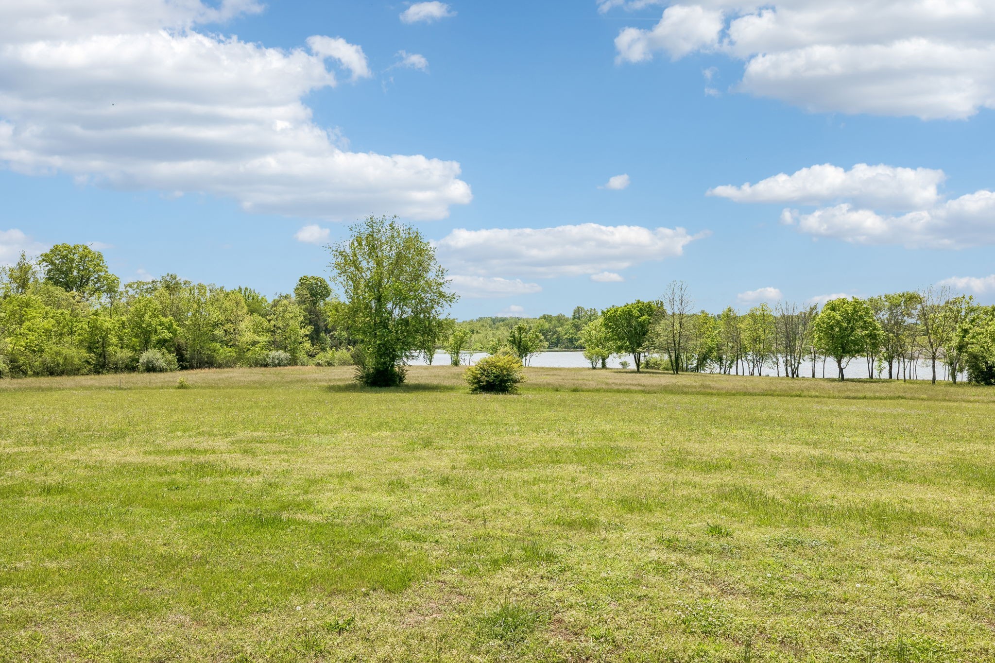 Listing image 64