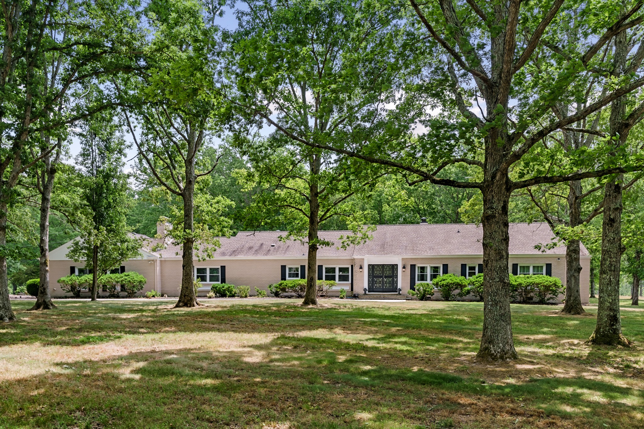 Listing image 57