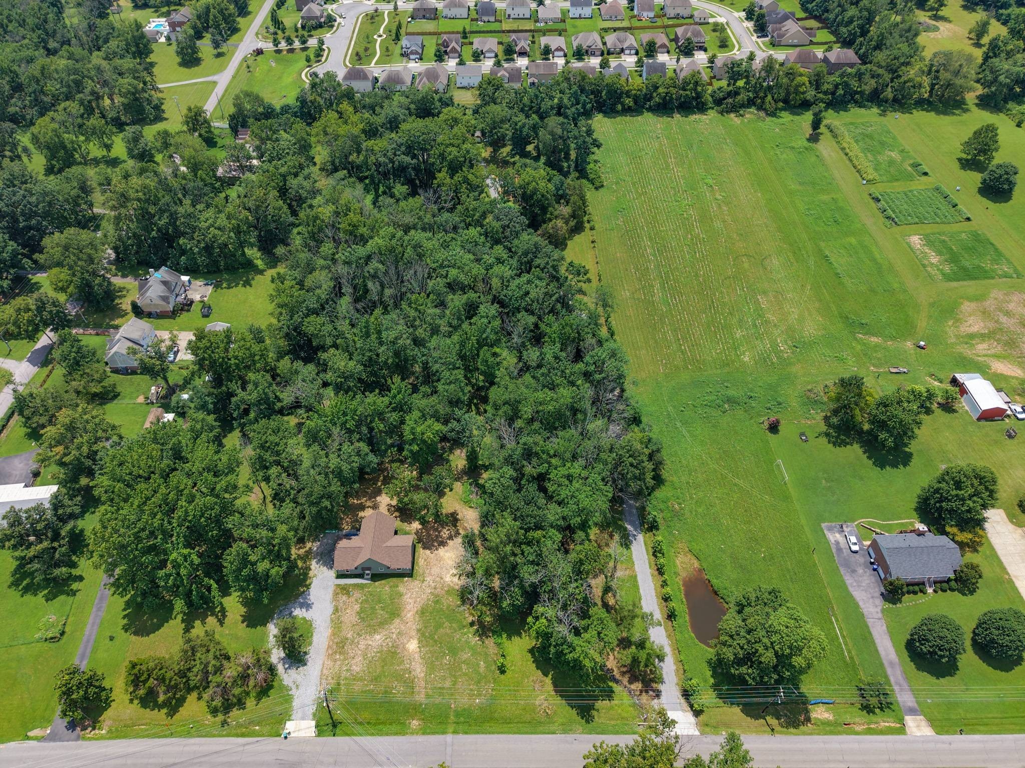 Listing image 49