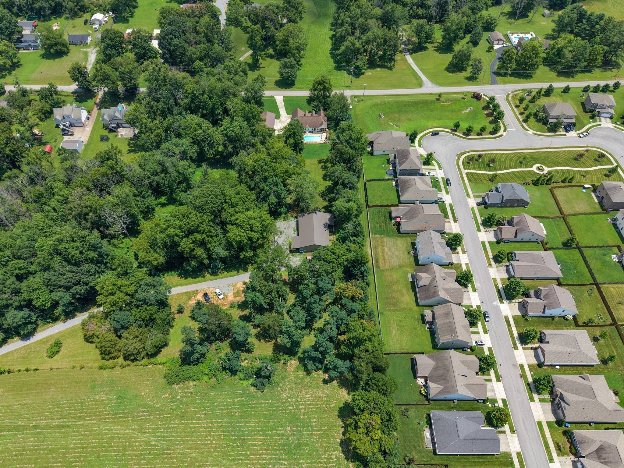 Listing image 55