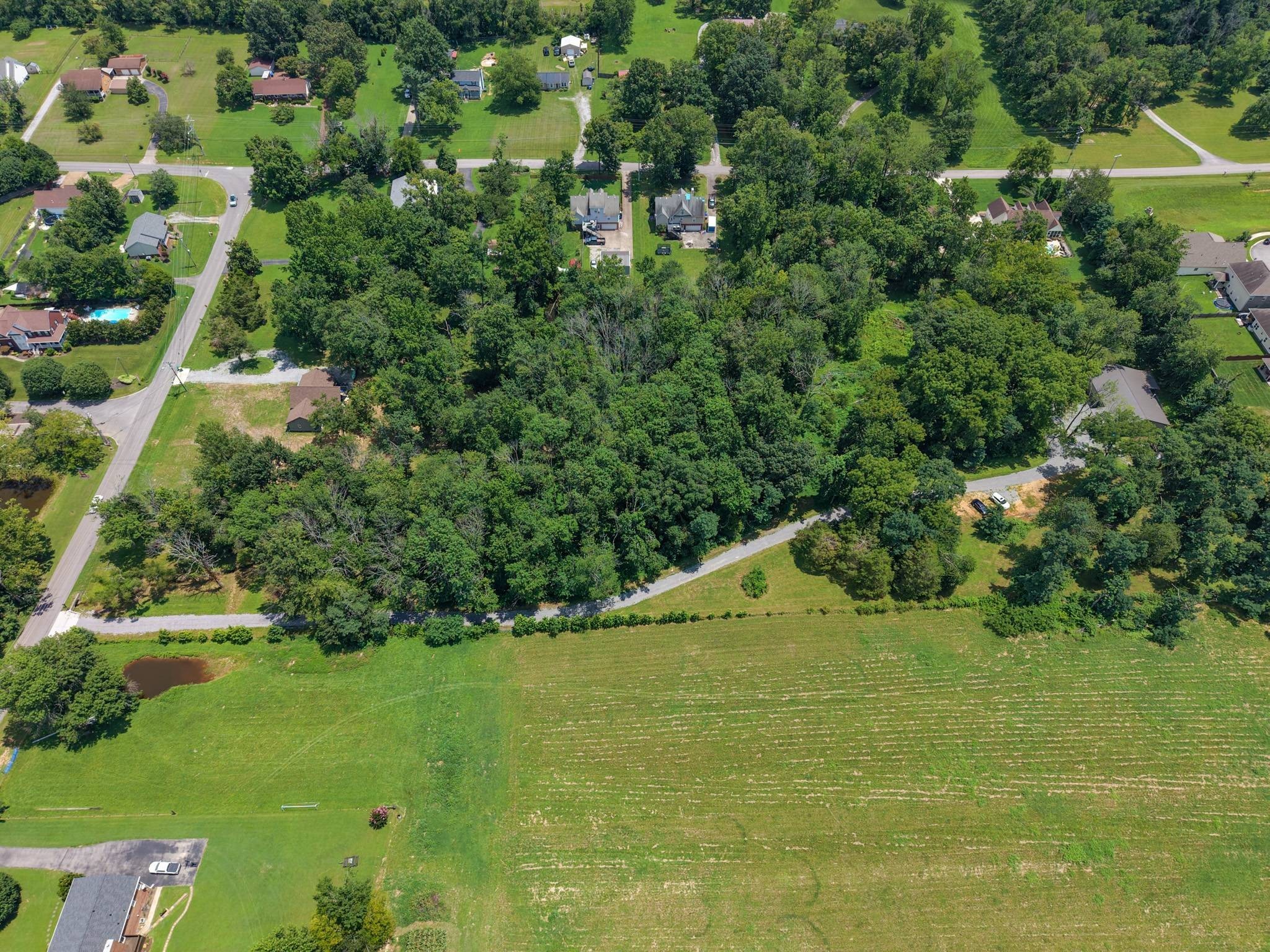 Listing image 53