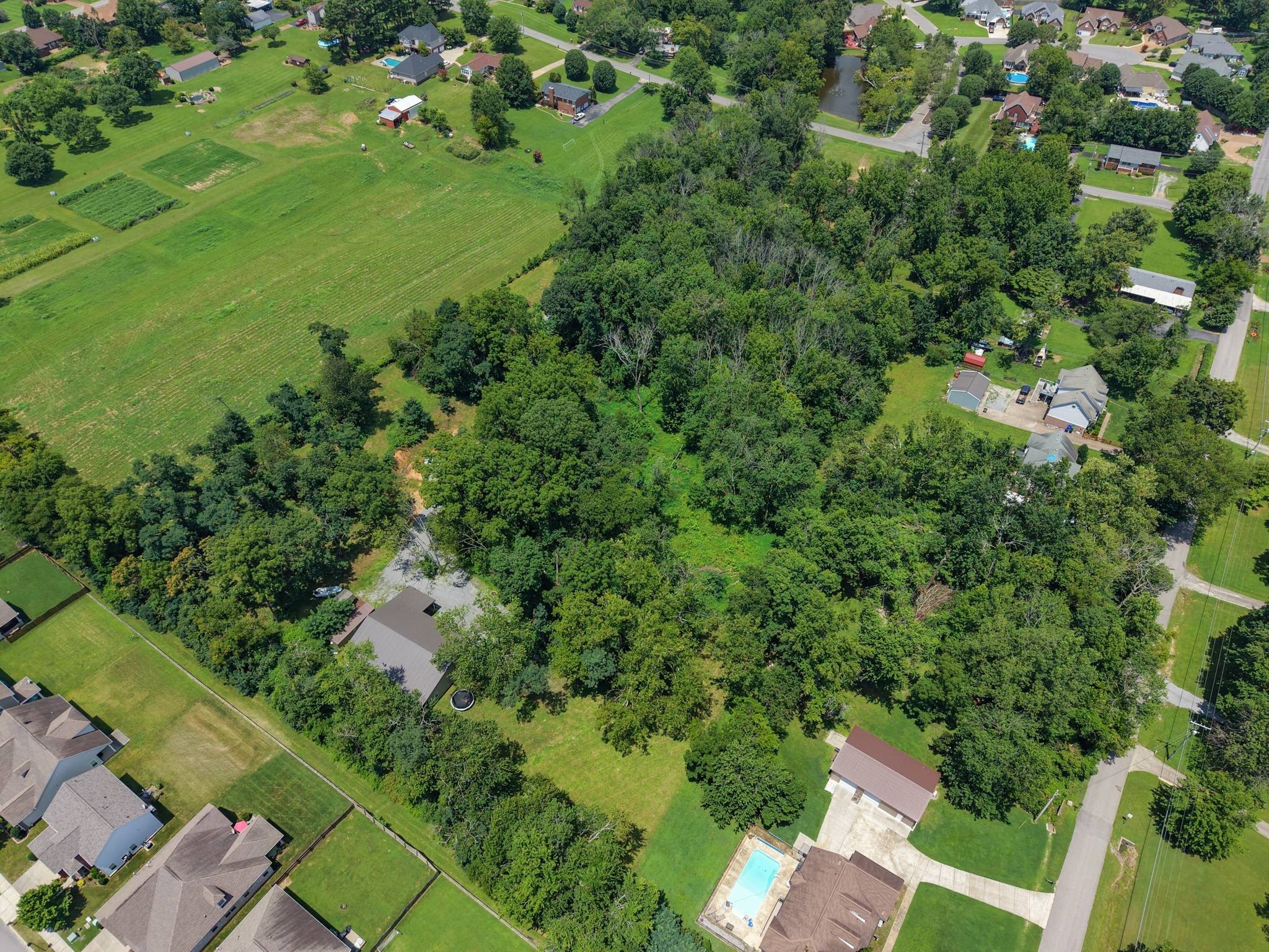 Listing image 57