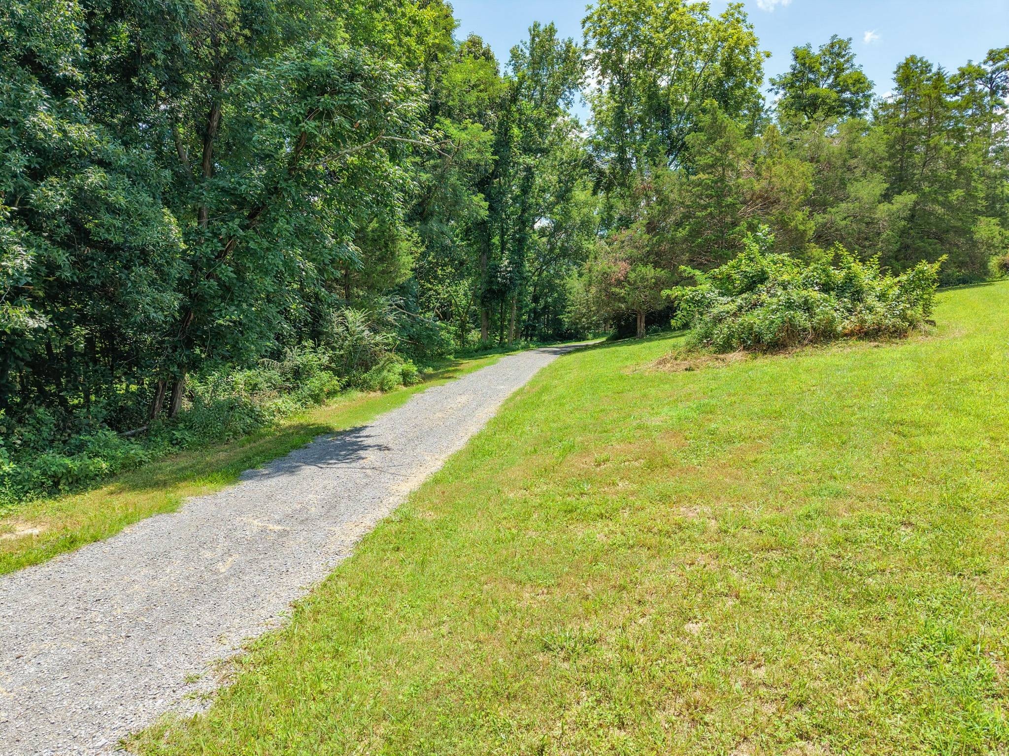 Listing image 66