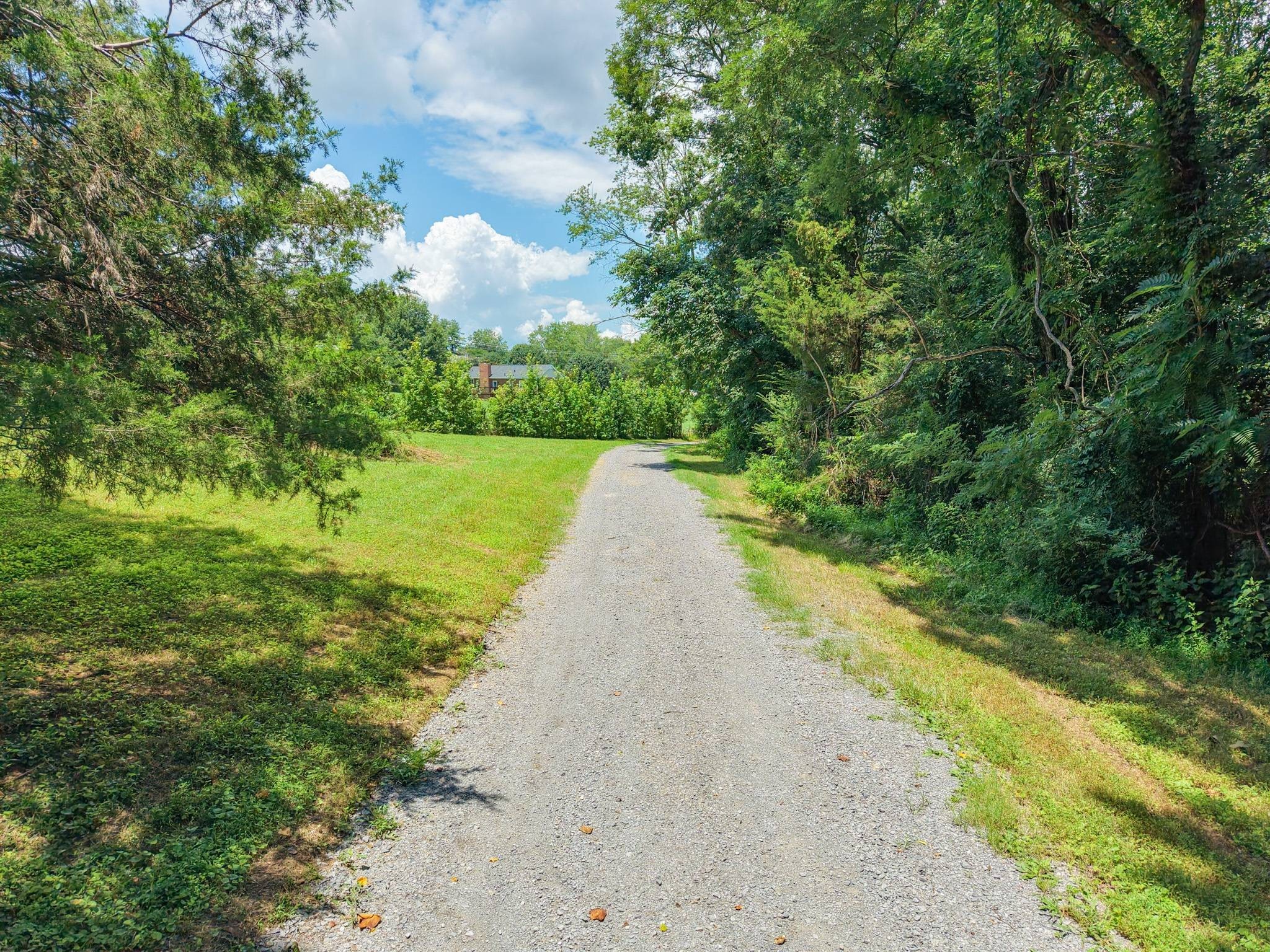 Listing image 62