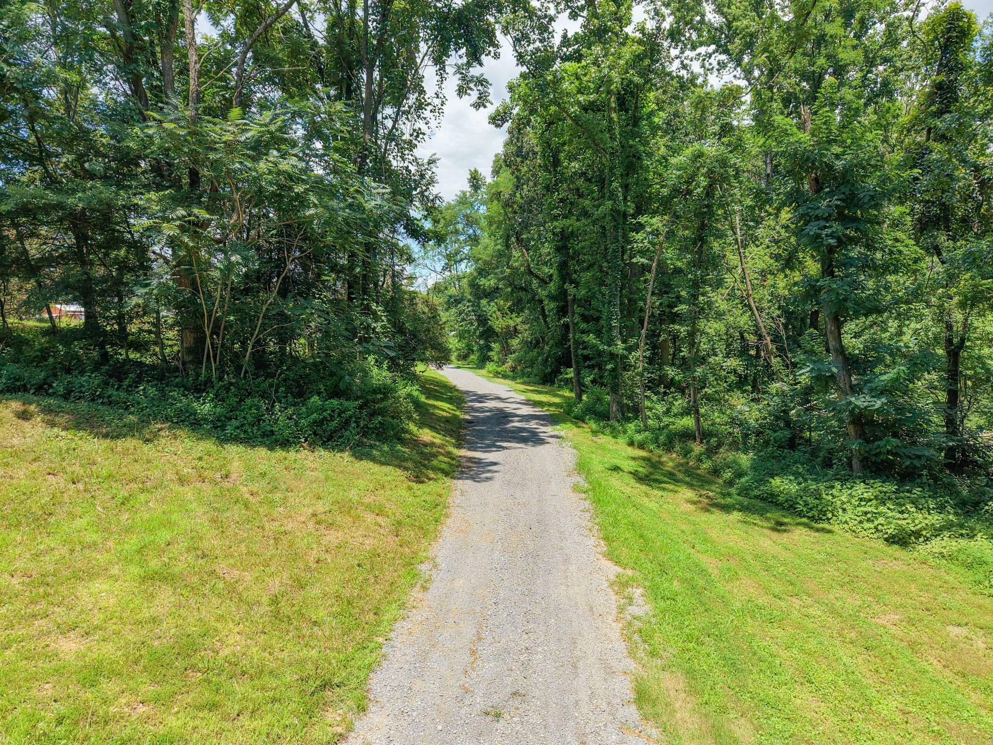 Listing image 61