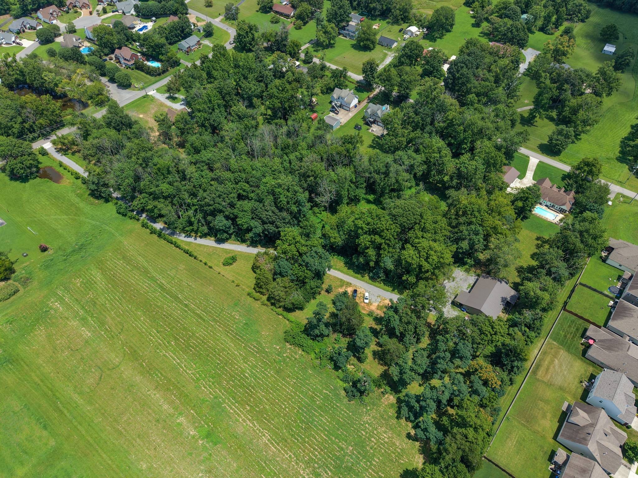 Listing image 54