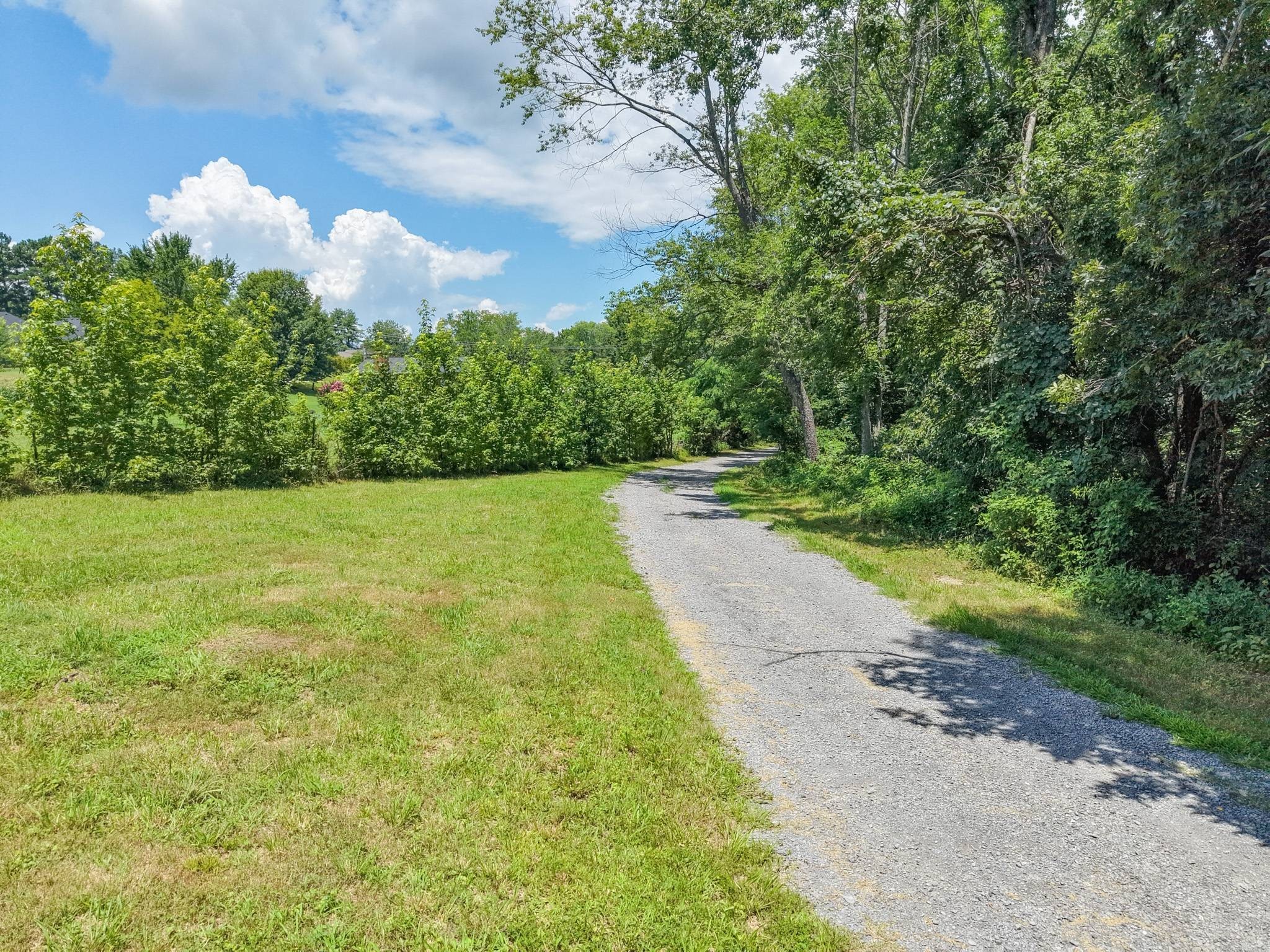Listing image 64