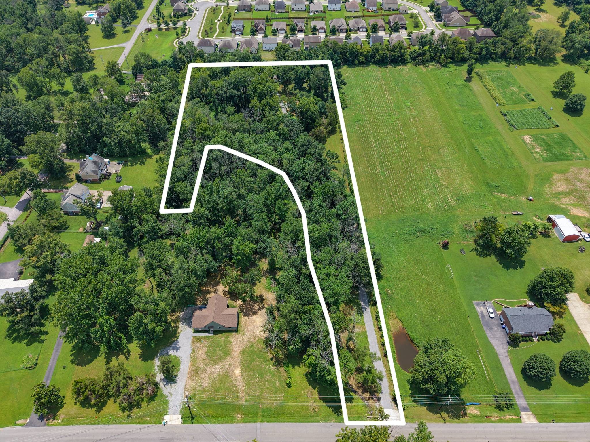 Listing image 1