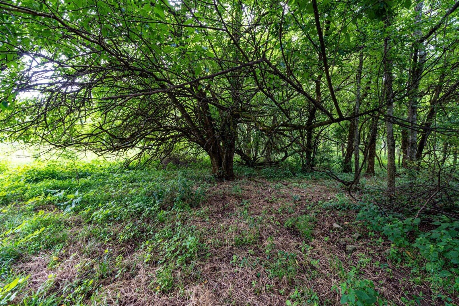Listing image 52
