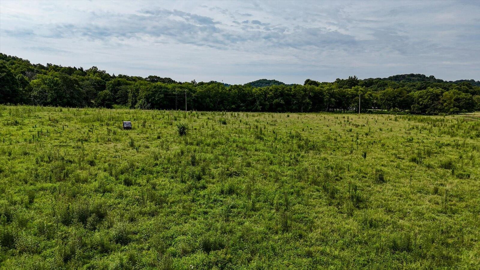 Listing image 41