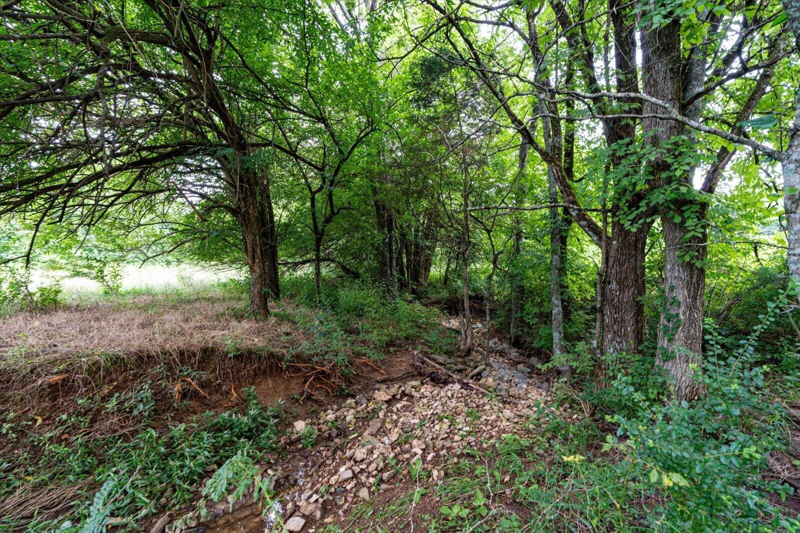 Listing image 51