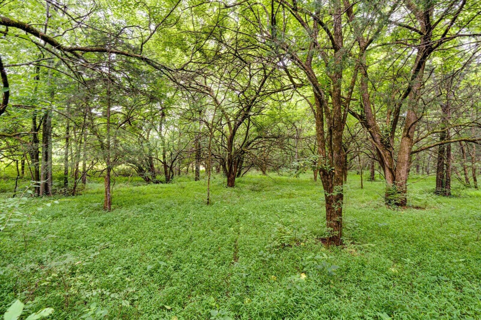 Listing image 61