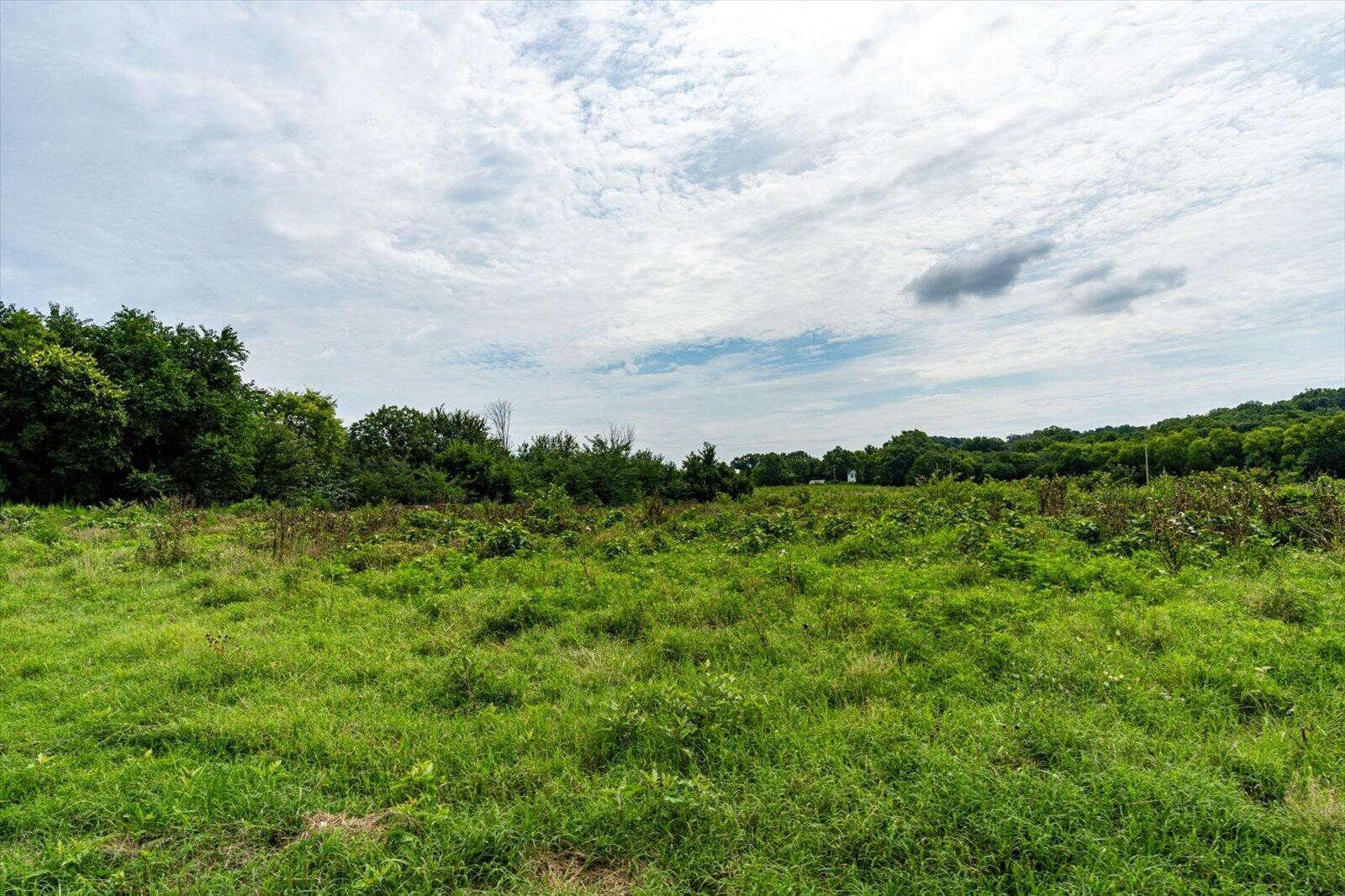 Listing image 48