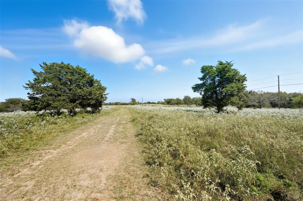 Listing image 28