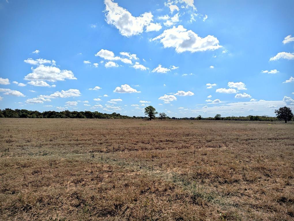 Listing image 26