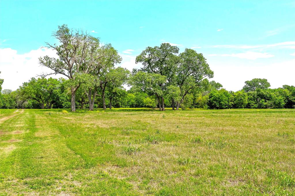 Listing image 24