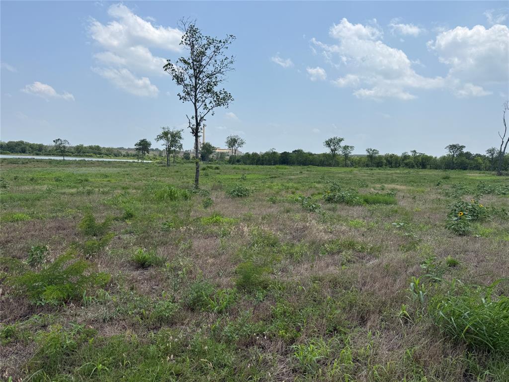 Listing image 24