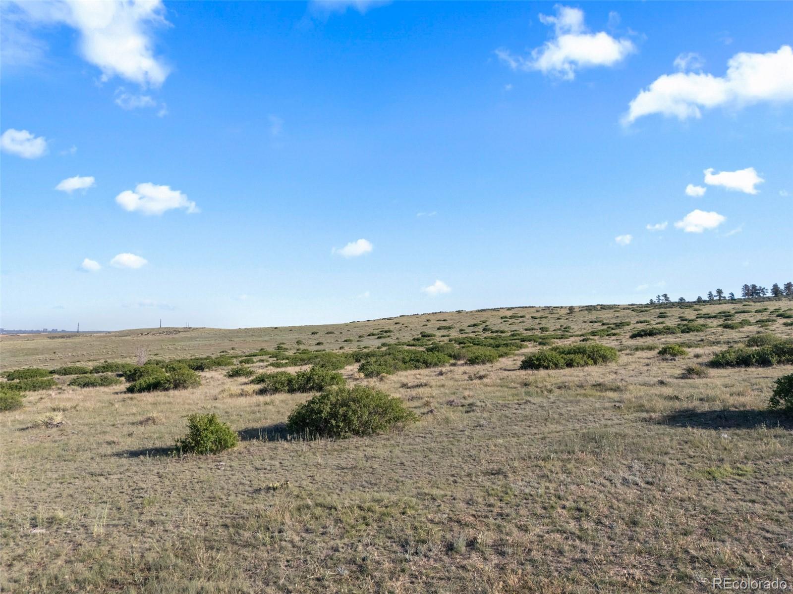 Listing image 24
