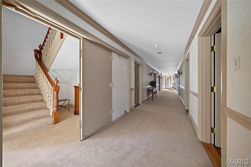 Listing image 65