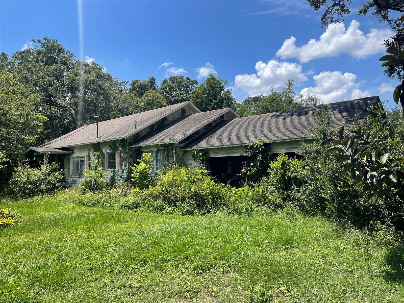 Listing image 1