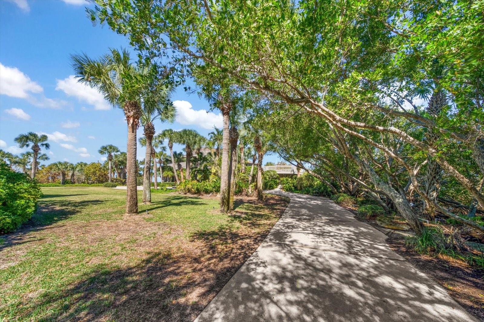 Listing image 51