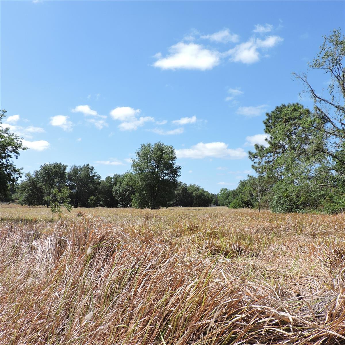 Listing image 24