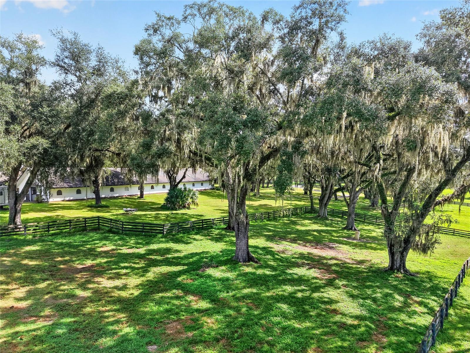 Listing image 45