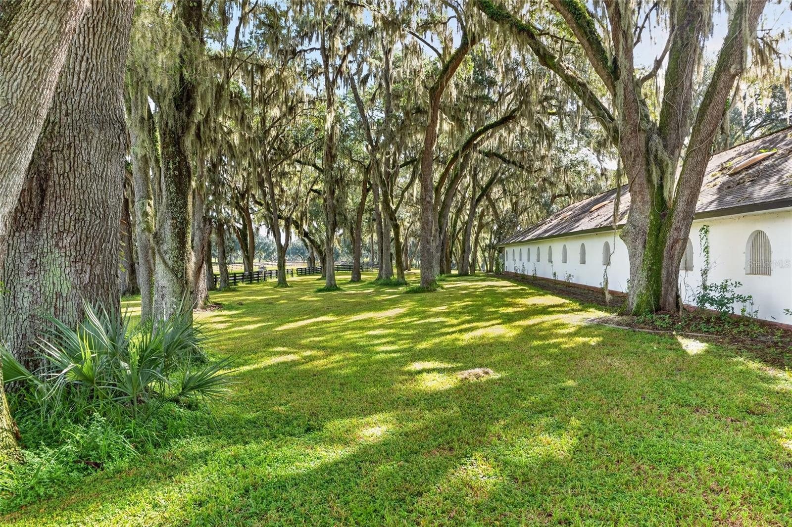 Listing image 59