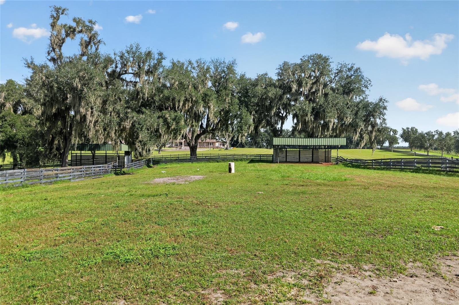 Listing image 61
