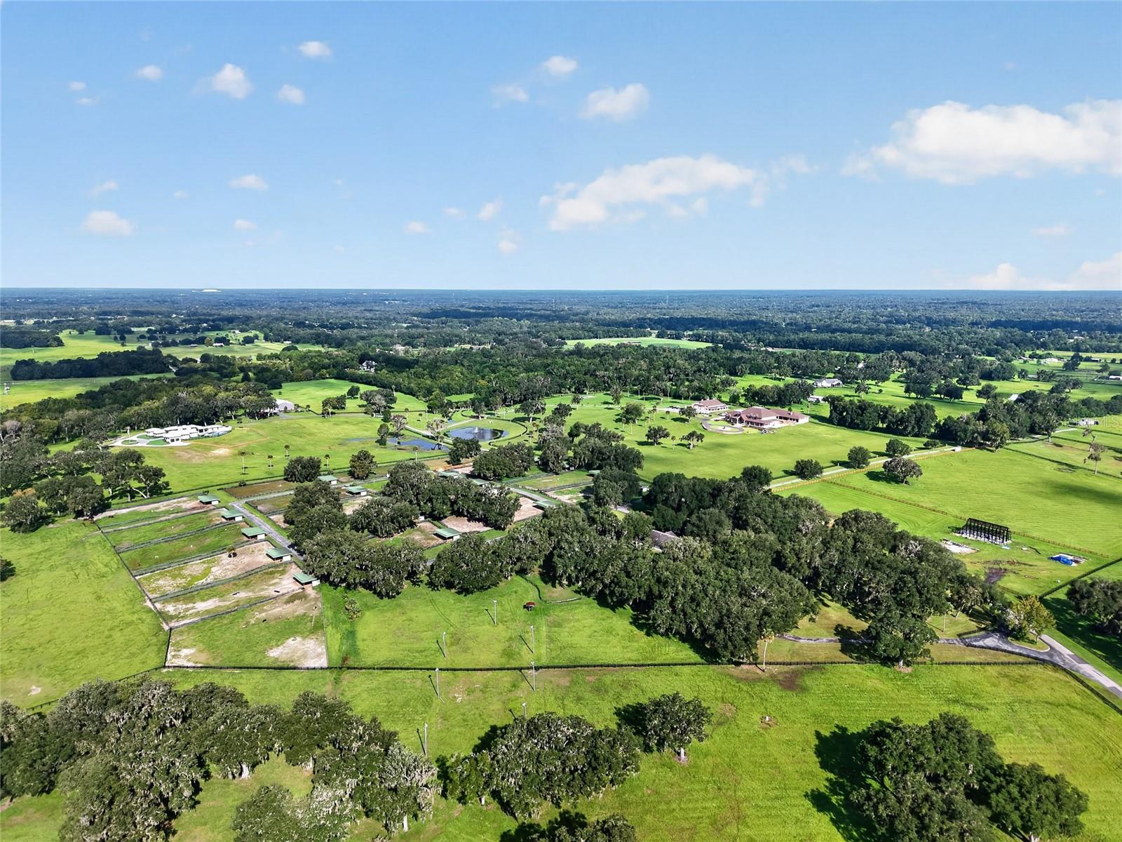 Listing image 64