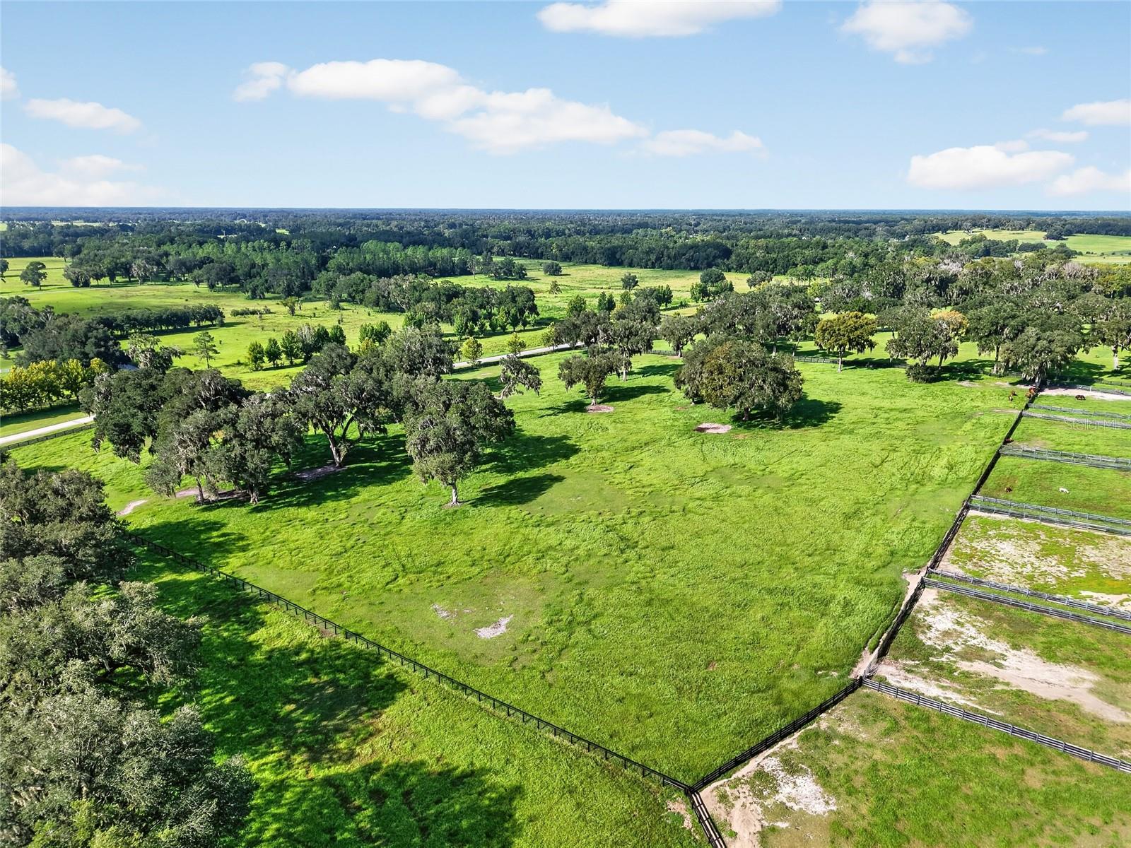 Listing image 65