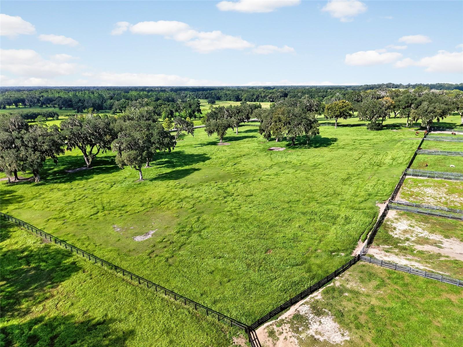 Listing image 66
