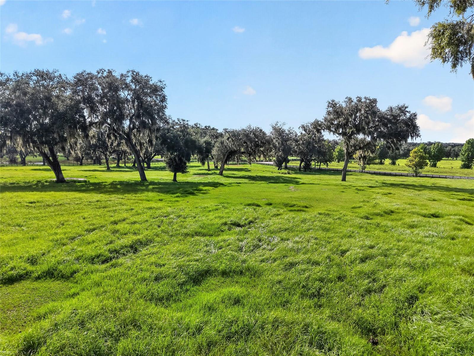 Listing image 71