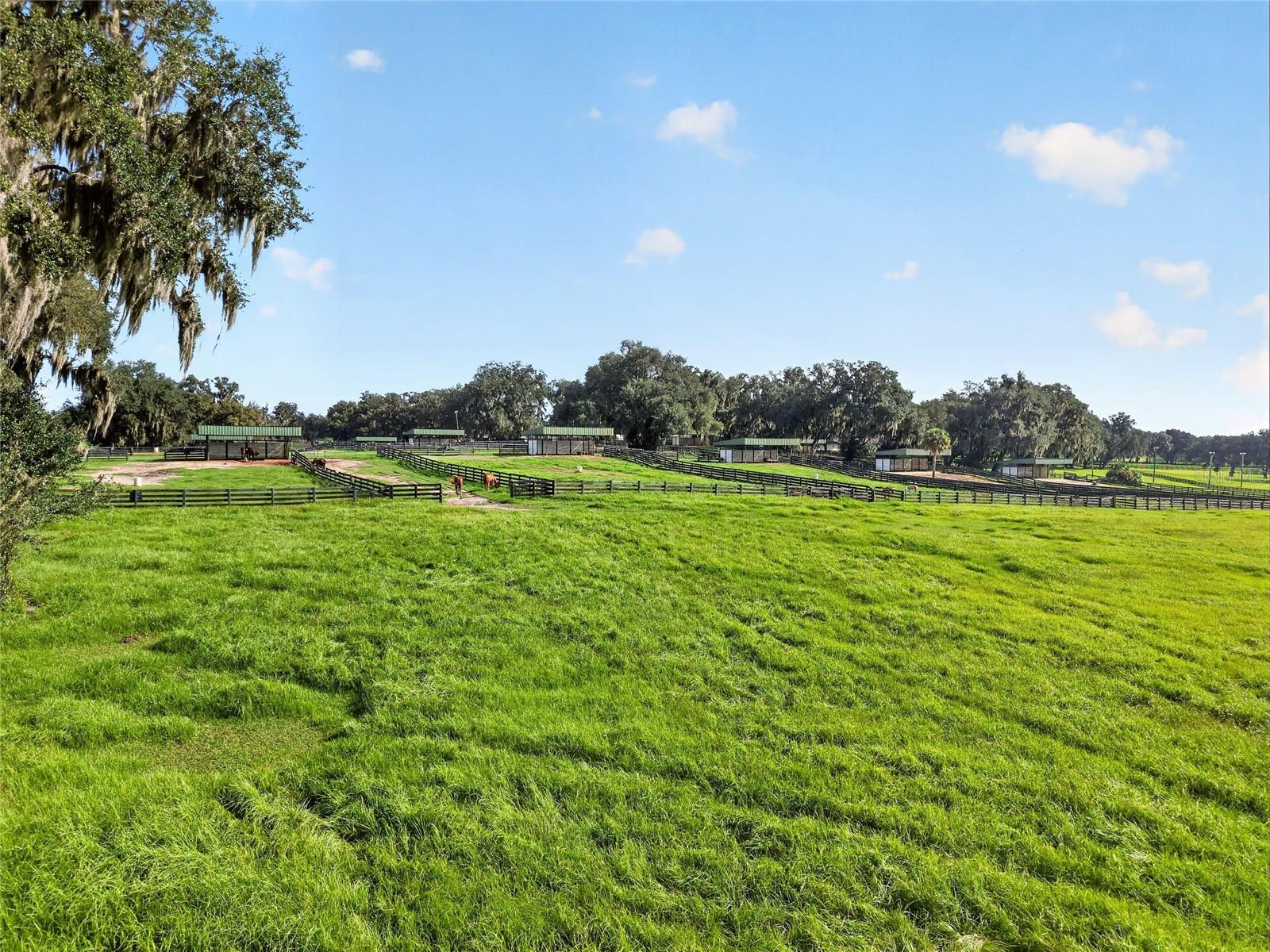 Listing image 72