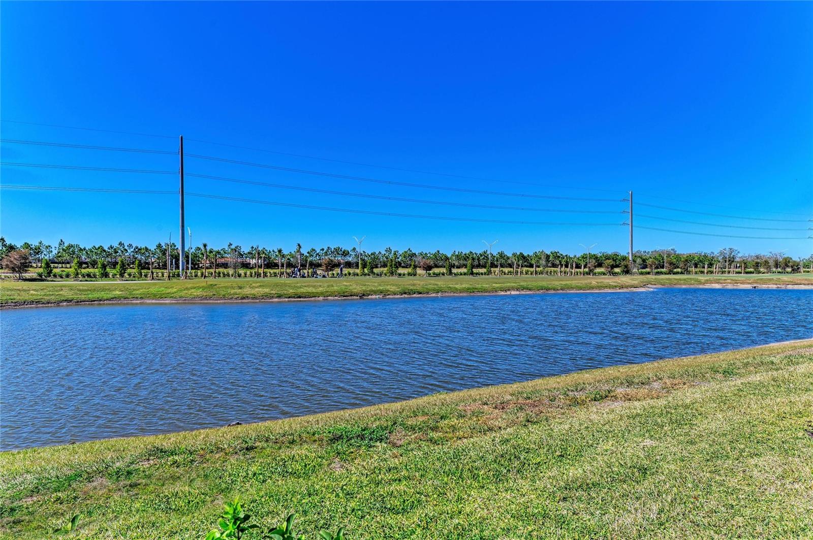 Listing image 48