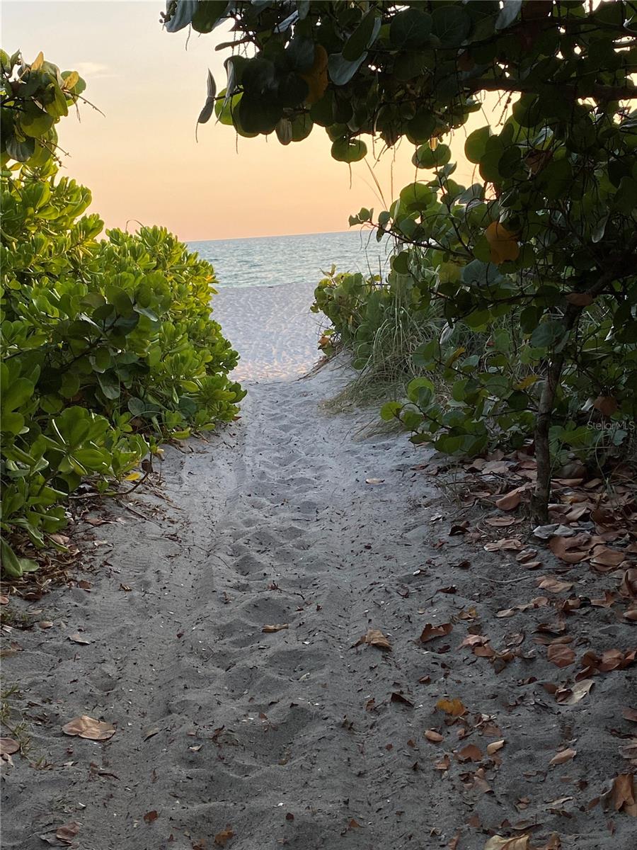 Listing image 79