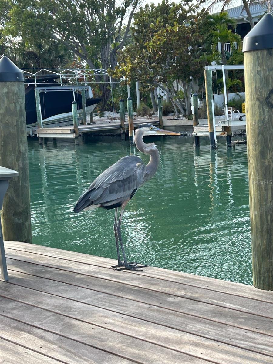 Listing image 82