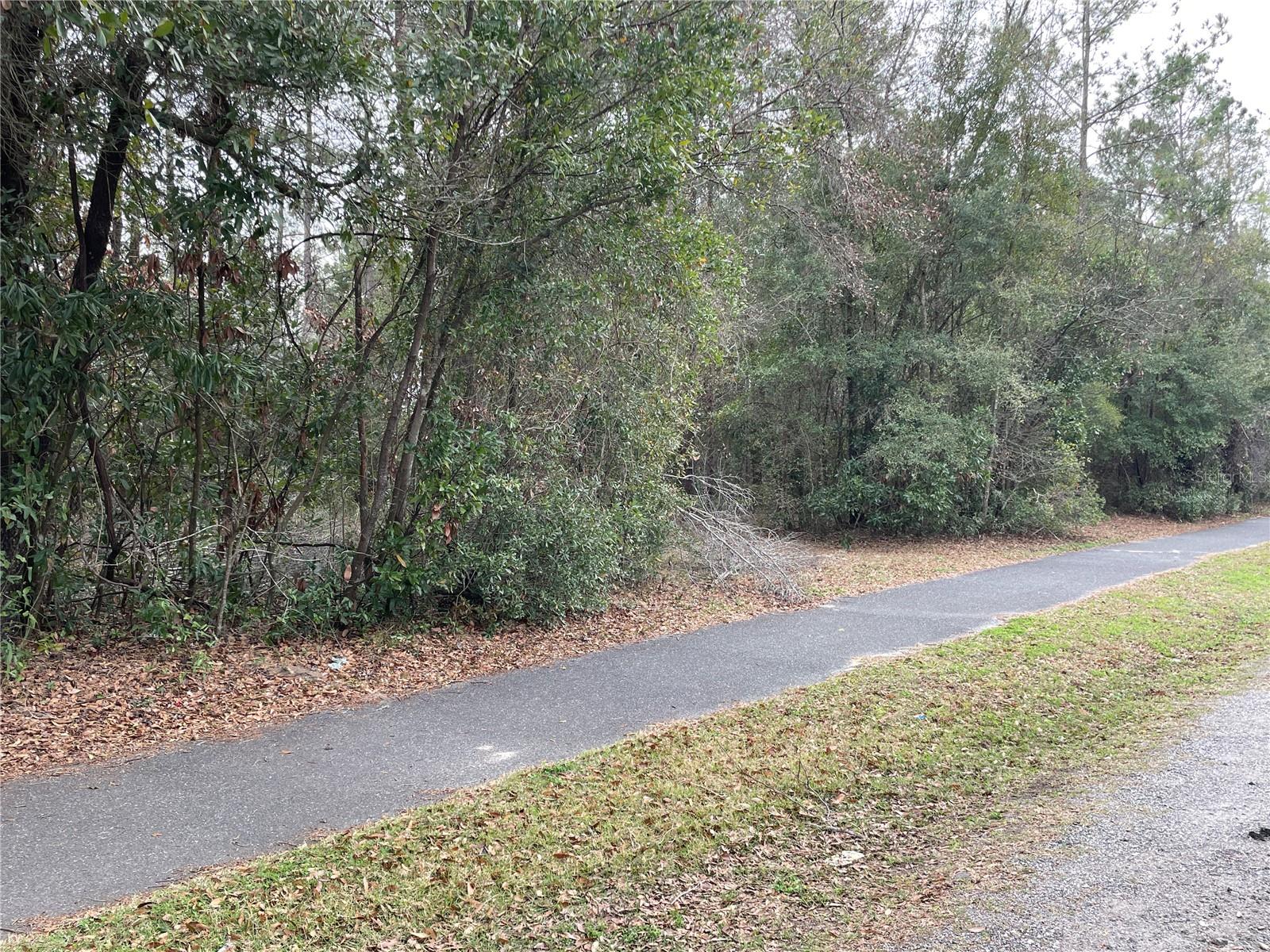 Listing image 24