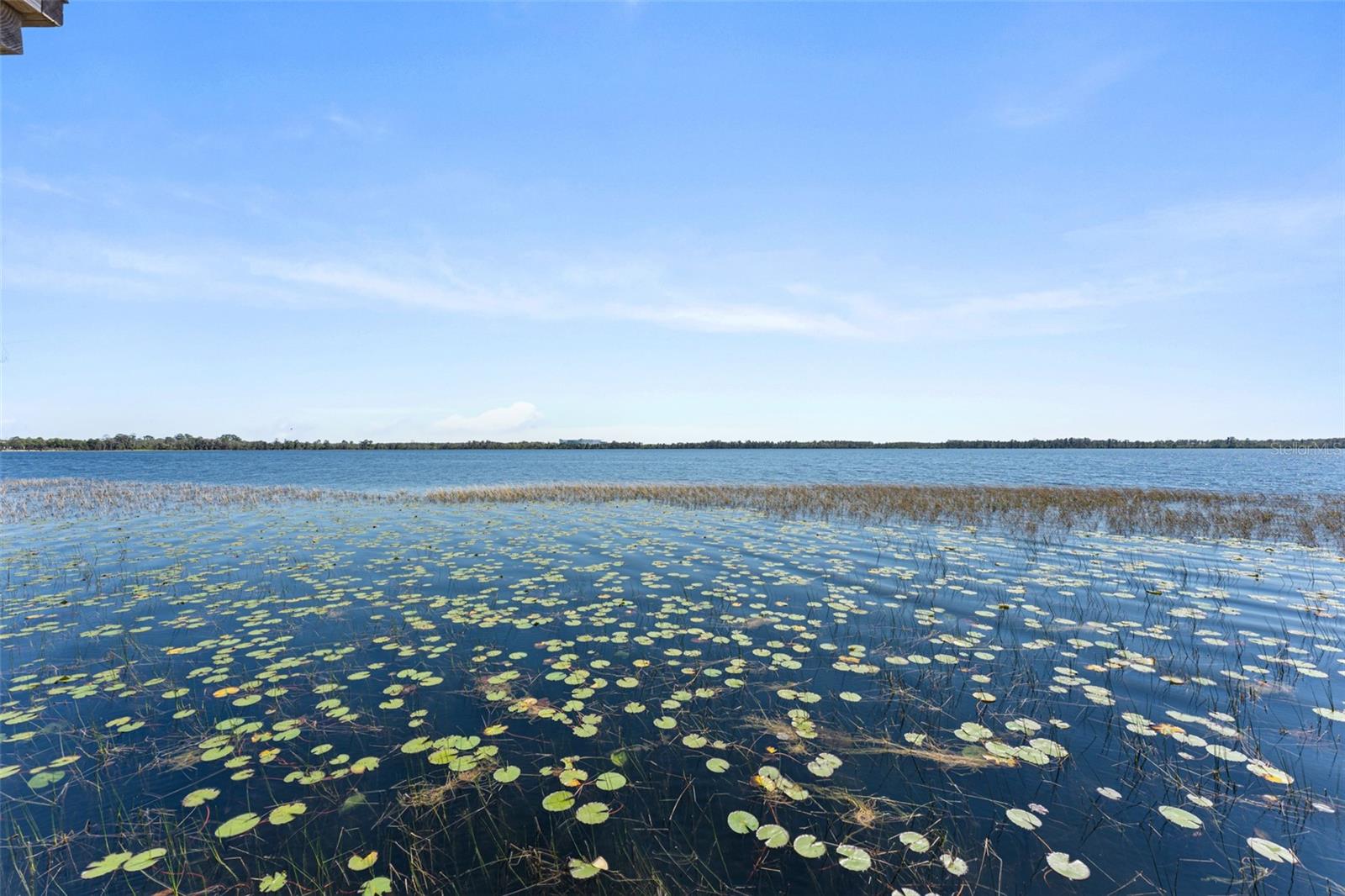 Listing image 87