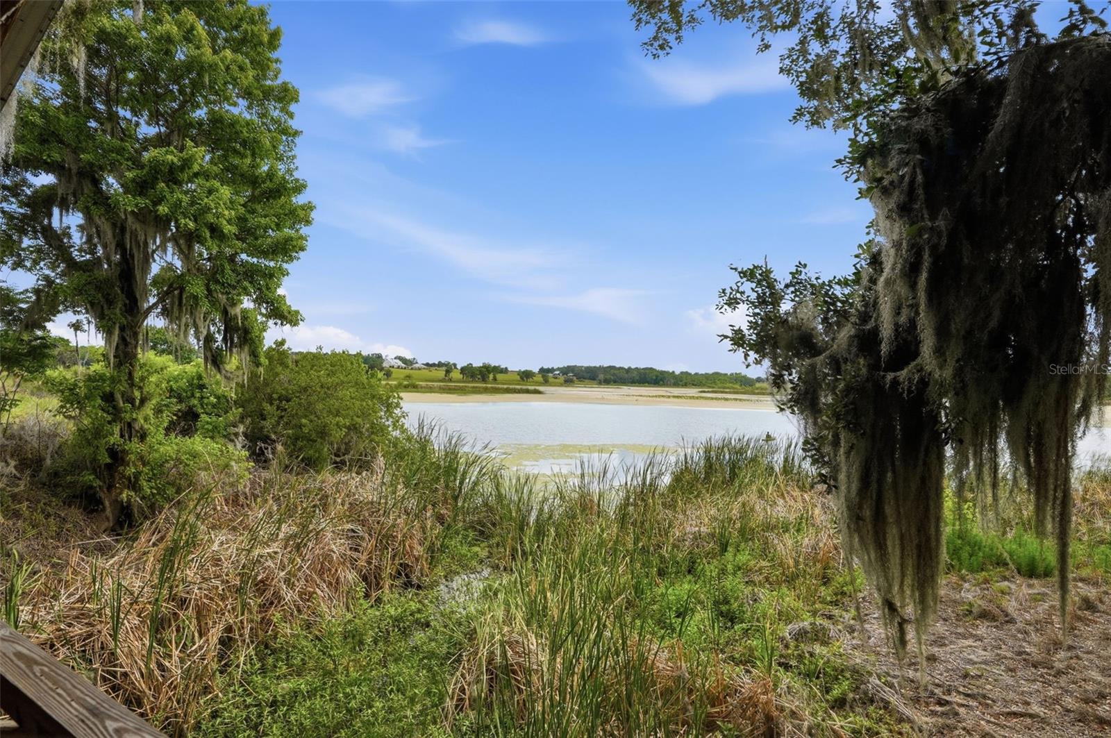 Listing image 74