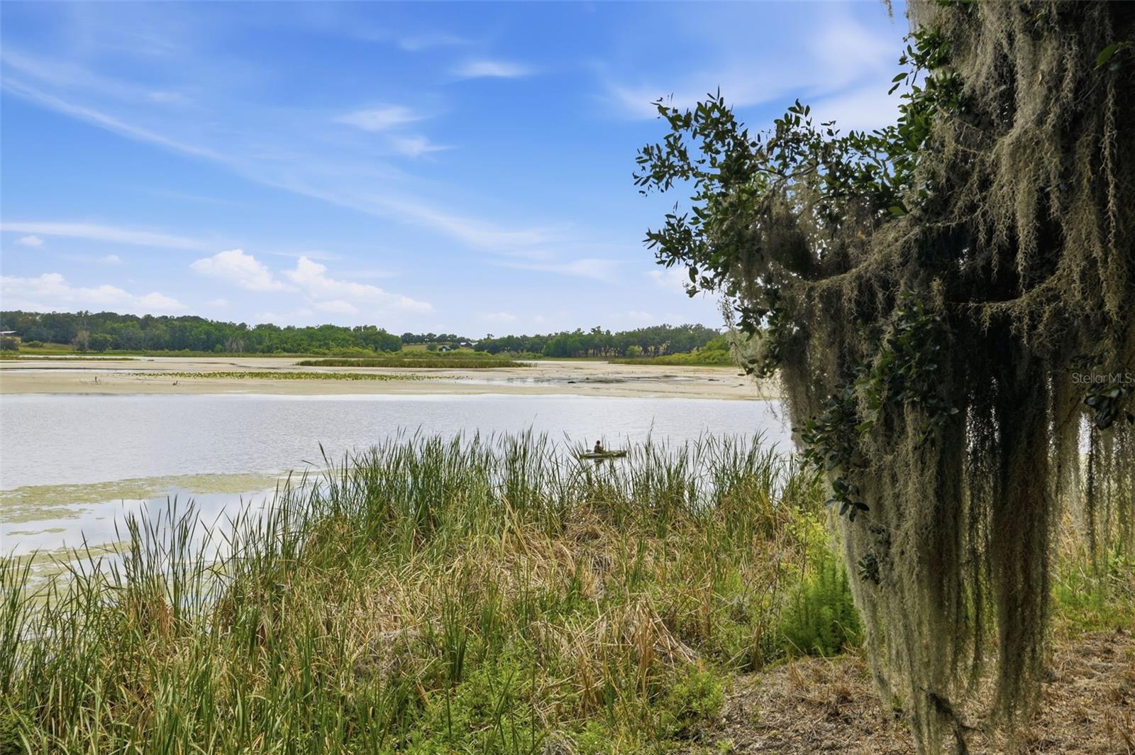 Listing image 75