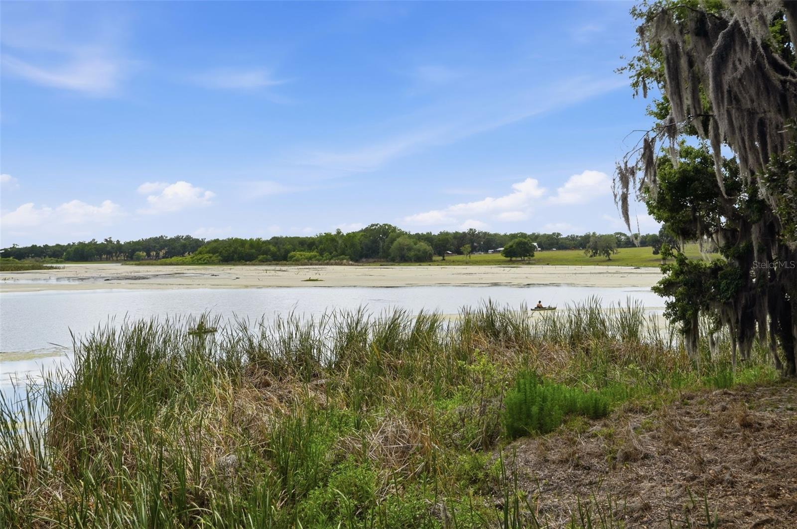 Listing image 76