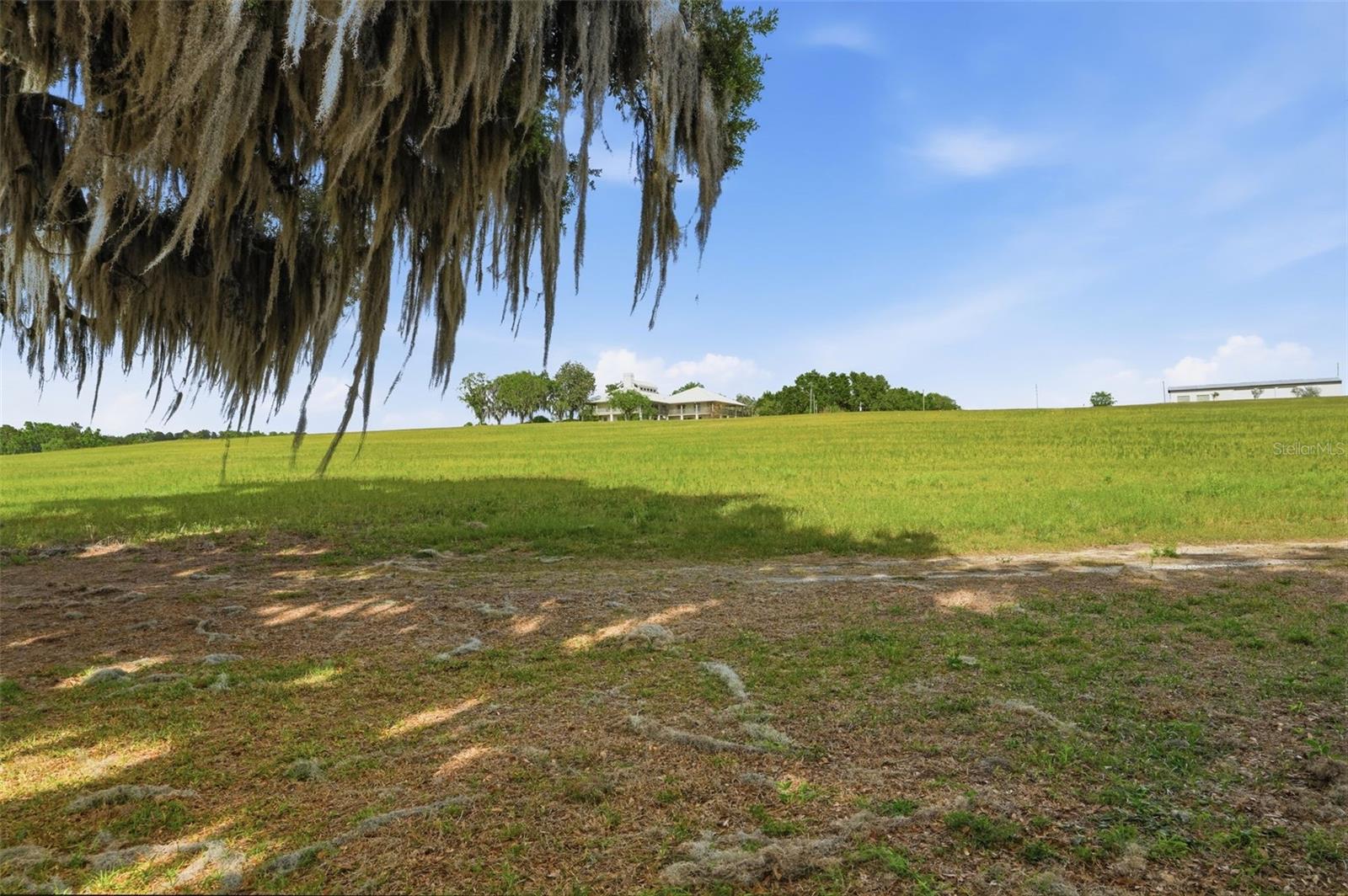 Listing image 80