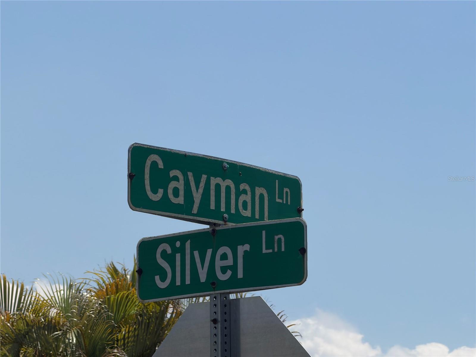 Listing image 11