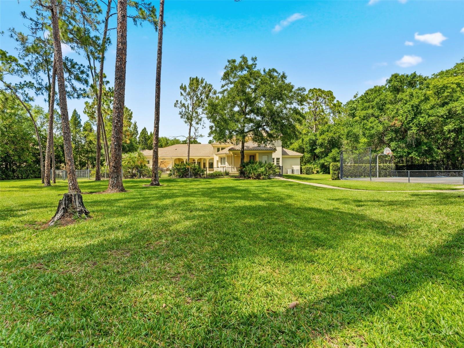 Listing image 22