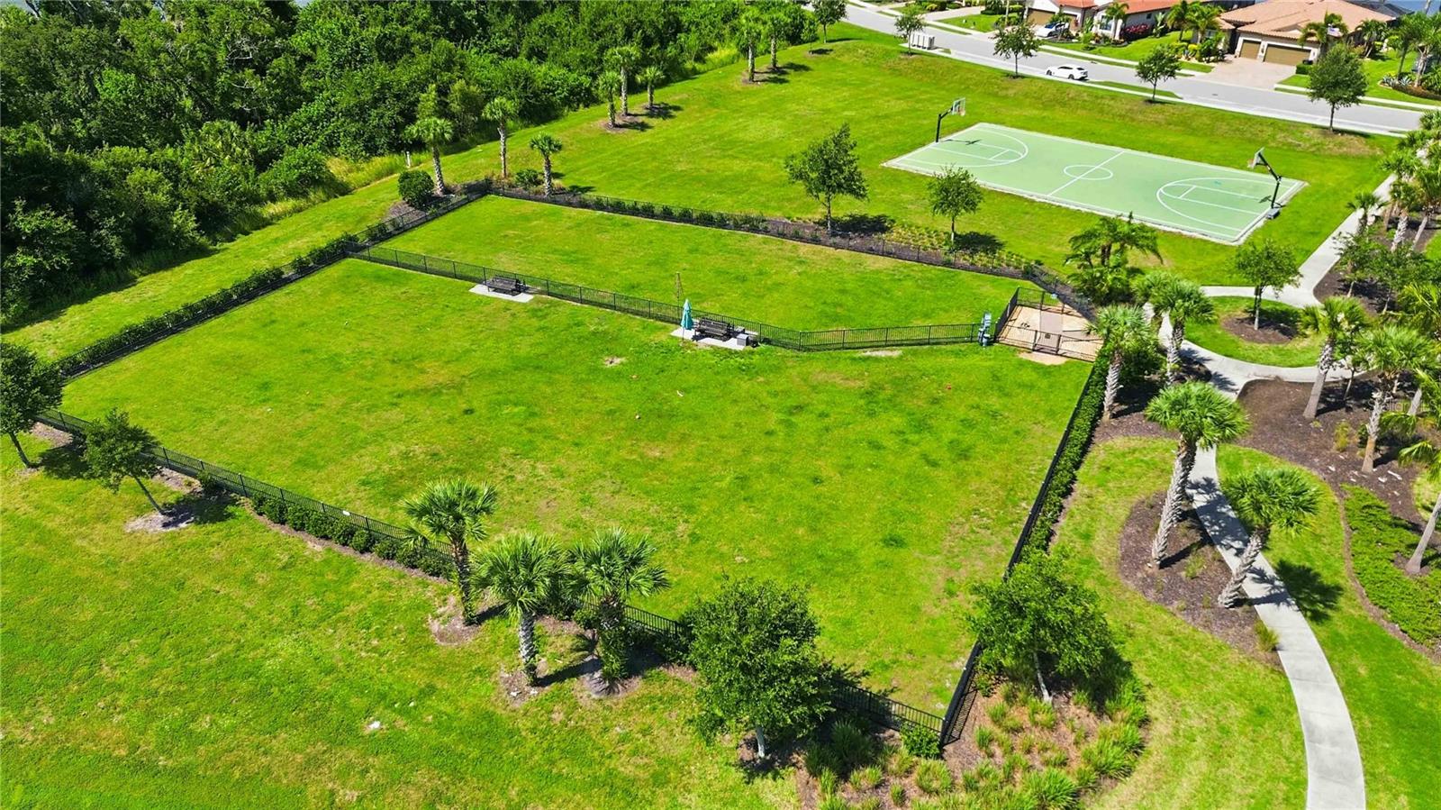 Listing image 82