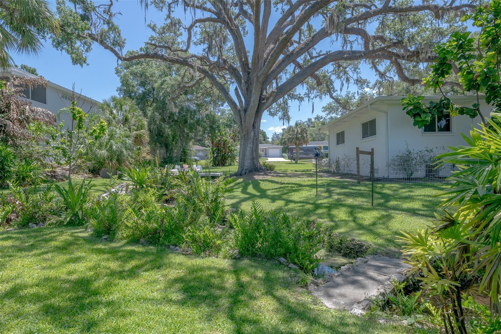 Listing image 46