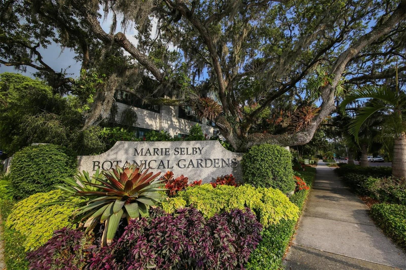 Listing image 59